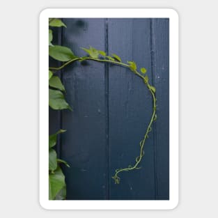 vines Sticker